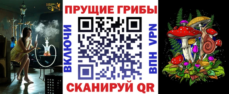 где купить   Осташков  Галлюциногенные грибы Psilocybe 